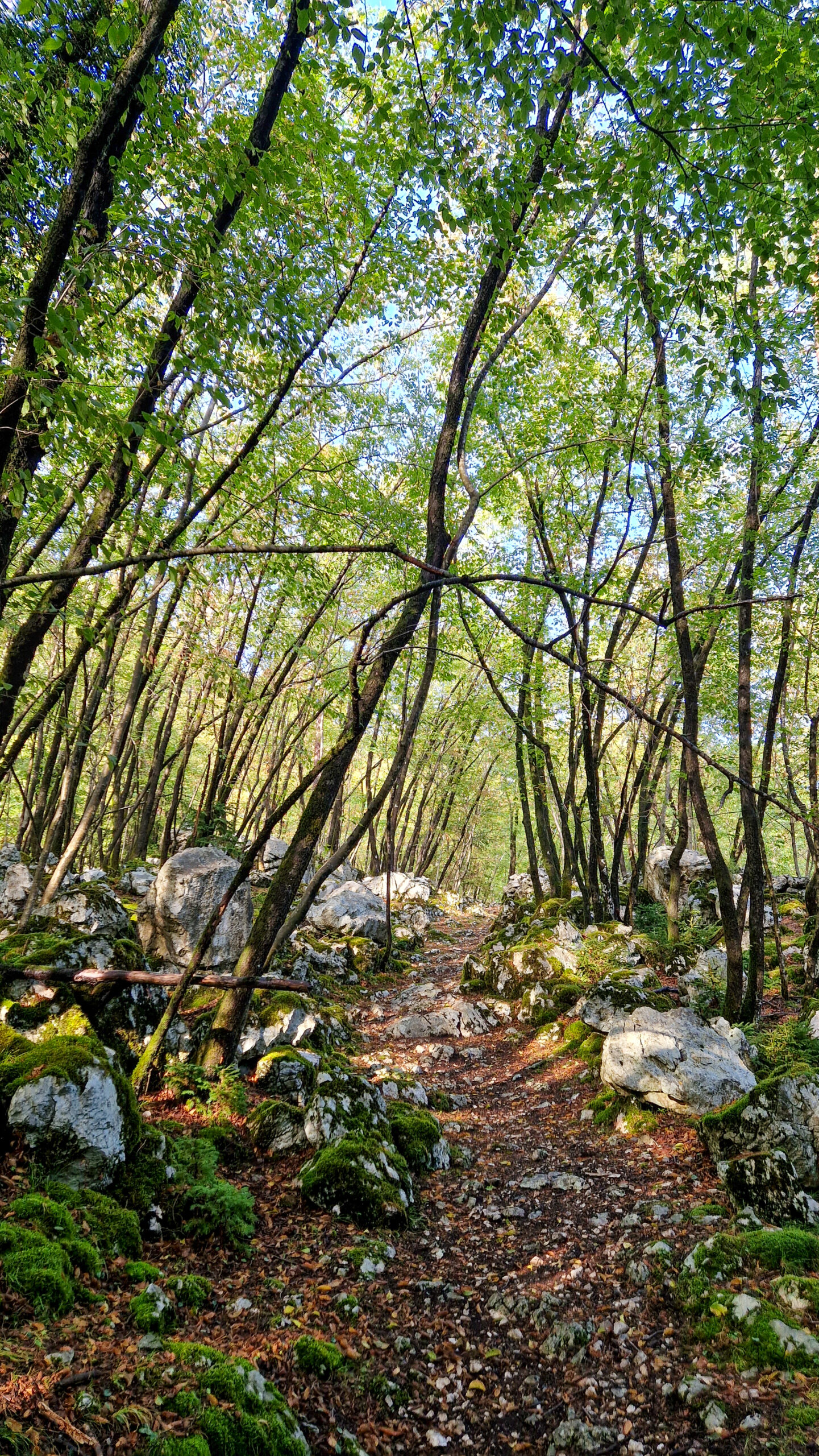 Fragment szlaku niedaleko miejscowości Bovec