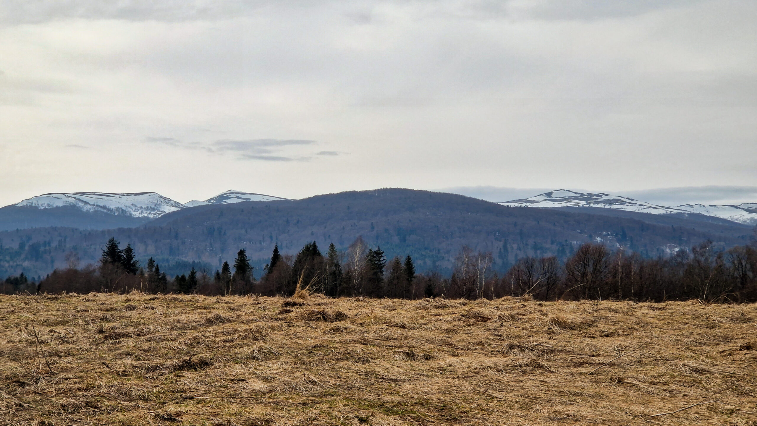 Panorama z parkingu przy torfowisku Tarnawa.