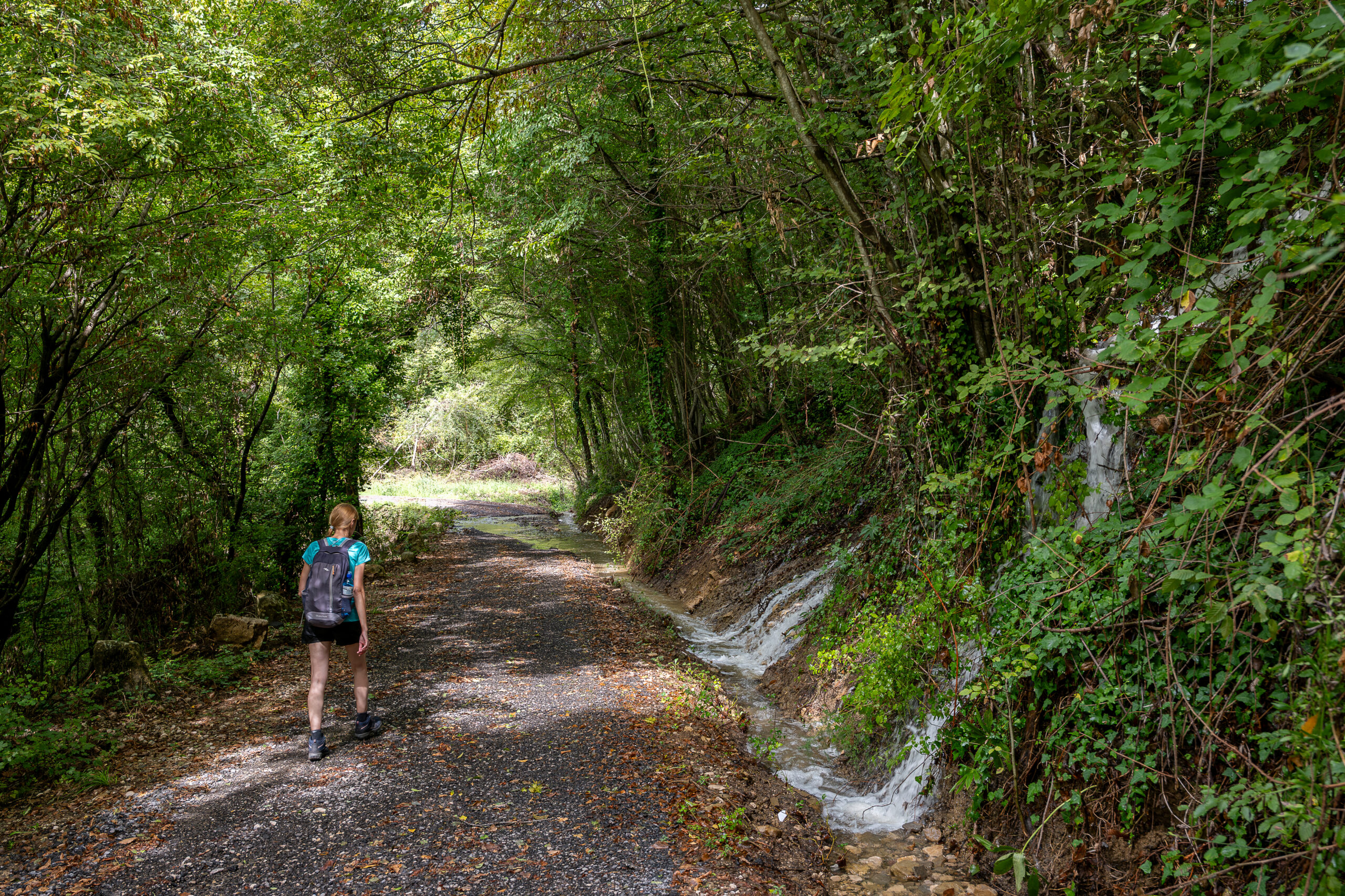 W drodze do wsi Krkavče 