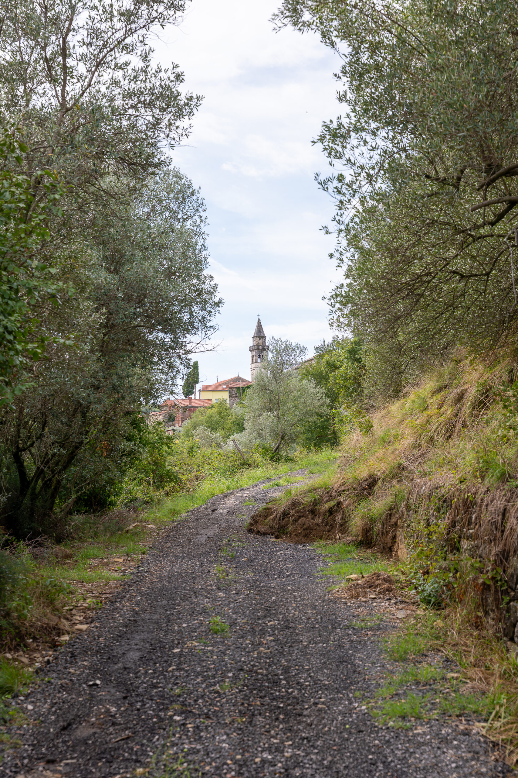 W drodze do wsi Krkavče